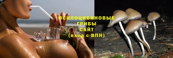 Альфа ПВП Армянск
