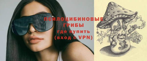 Альфа ПВП Армянск