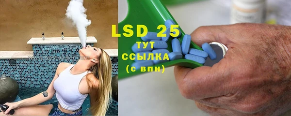 гидра Новодвинск