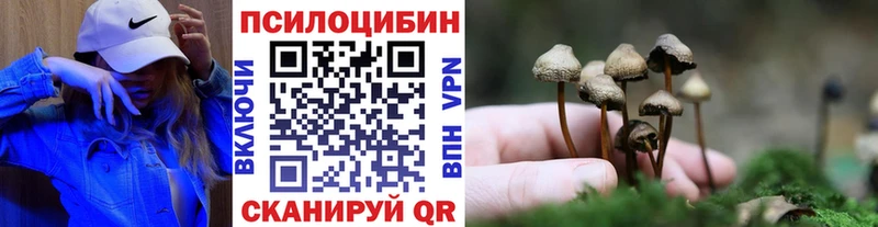 блэк спрут как войти  Северо-Курильск  Галлюциногенные грибы GOLDEN TEACHER 